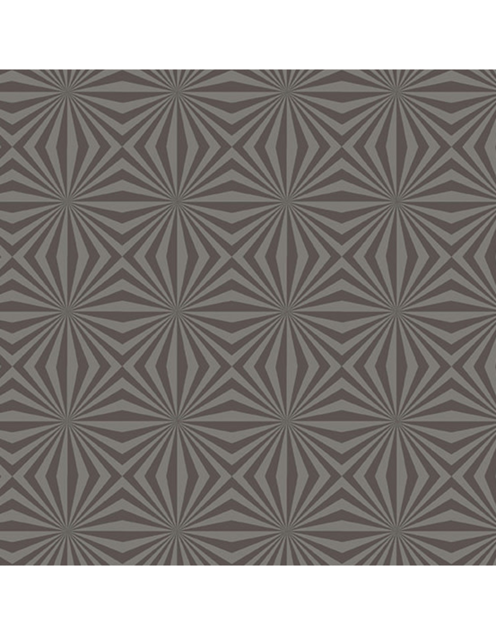 Andover Andover Fabrics - Libs Elliott - Stealth - Rays Stone - 9658-C1