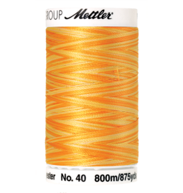 Mettler Poly Sheen Multi - 800 meter 9925