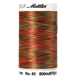 Mettler Poly Sheen Multi - 800 meter 9939