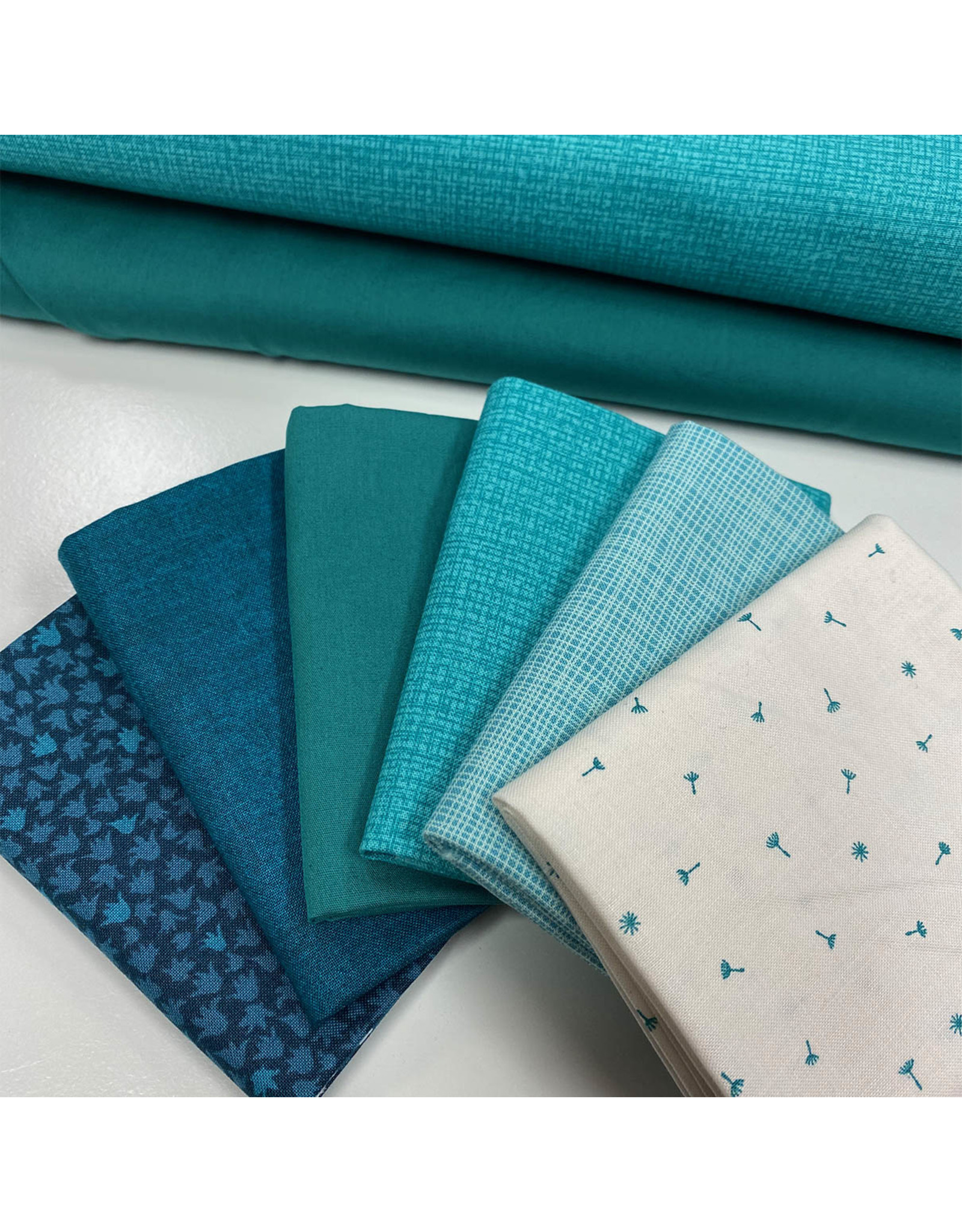 Basics & Blenders Club - Belgium + Germany