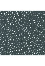 Robert Kaufman Elizabeth Hartman - Sunroom - Star Shine Chalkboard - AZH-20498-453