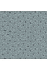 Andover Giucy Giuce - Wallflower - Nucleoid Socked In - A-8963-C