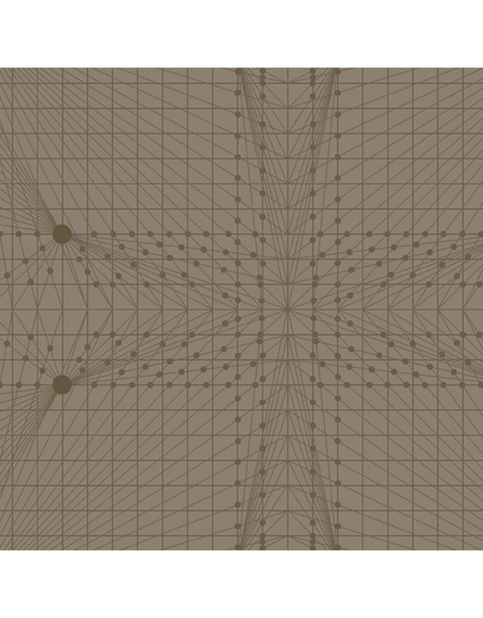 Wallflower: Interconnection in Brown Clamshell Wallflower: Interconnection in Brown Clamshell