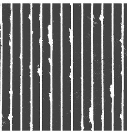Andover Prism - Striped Shale coupon (± 33 x 110 cm)