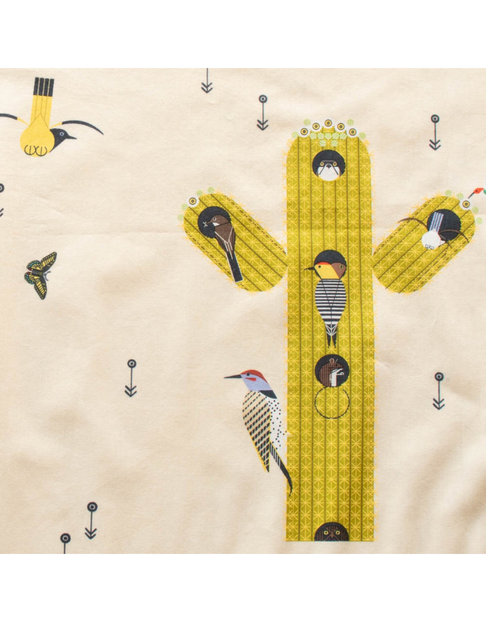 Birch Fabrics Charley Harper - The Desert - Cactus Field - CH-213