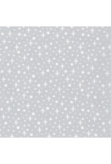 Robert Kaufman Elizabeth Hartman - Paintbox - Star Shine Shadow - AZH-19680-304