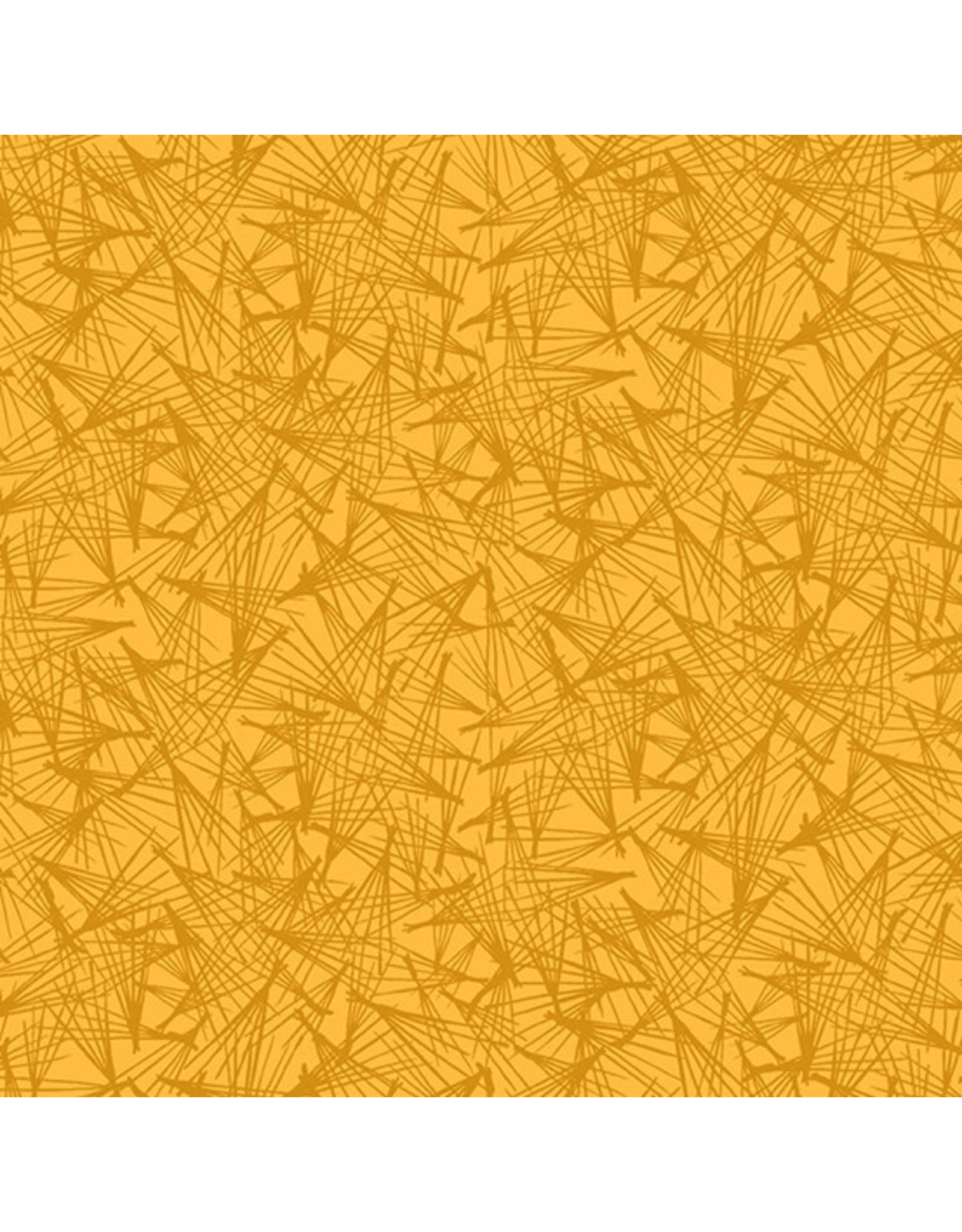 Thicket: Pine in Honey Thicket: Pine in Honey