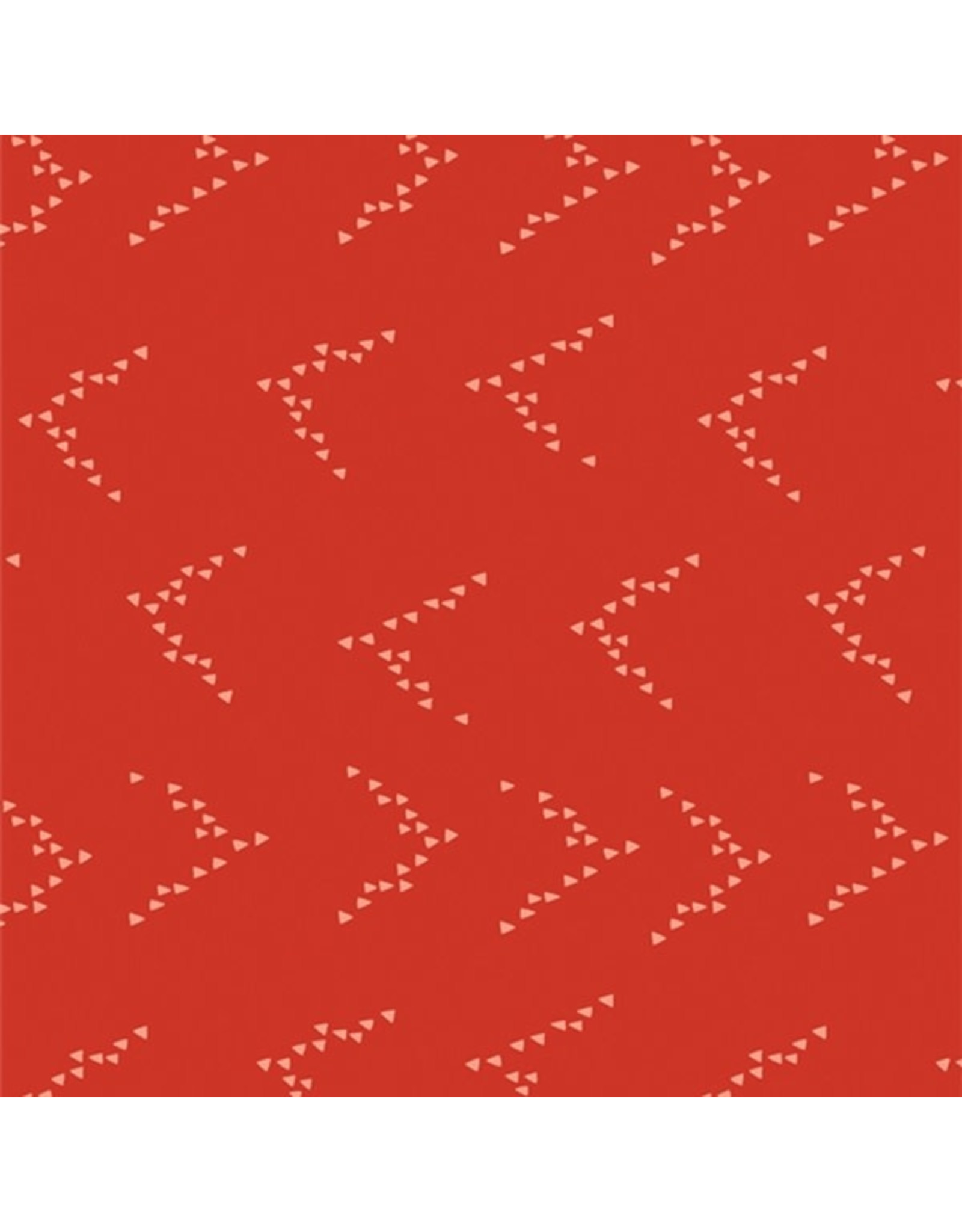 Art Gallery Fabrics Jessica Swift - Flight Path - Follow the Leader - FLP-66804