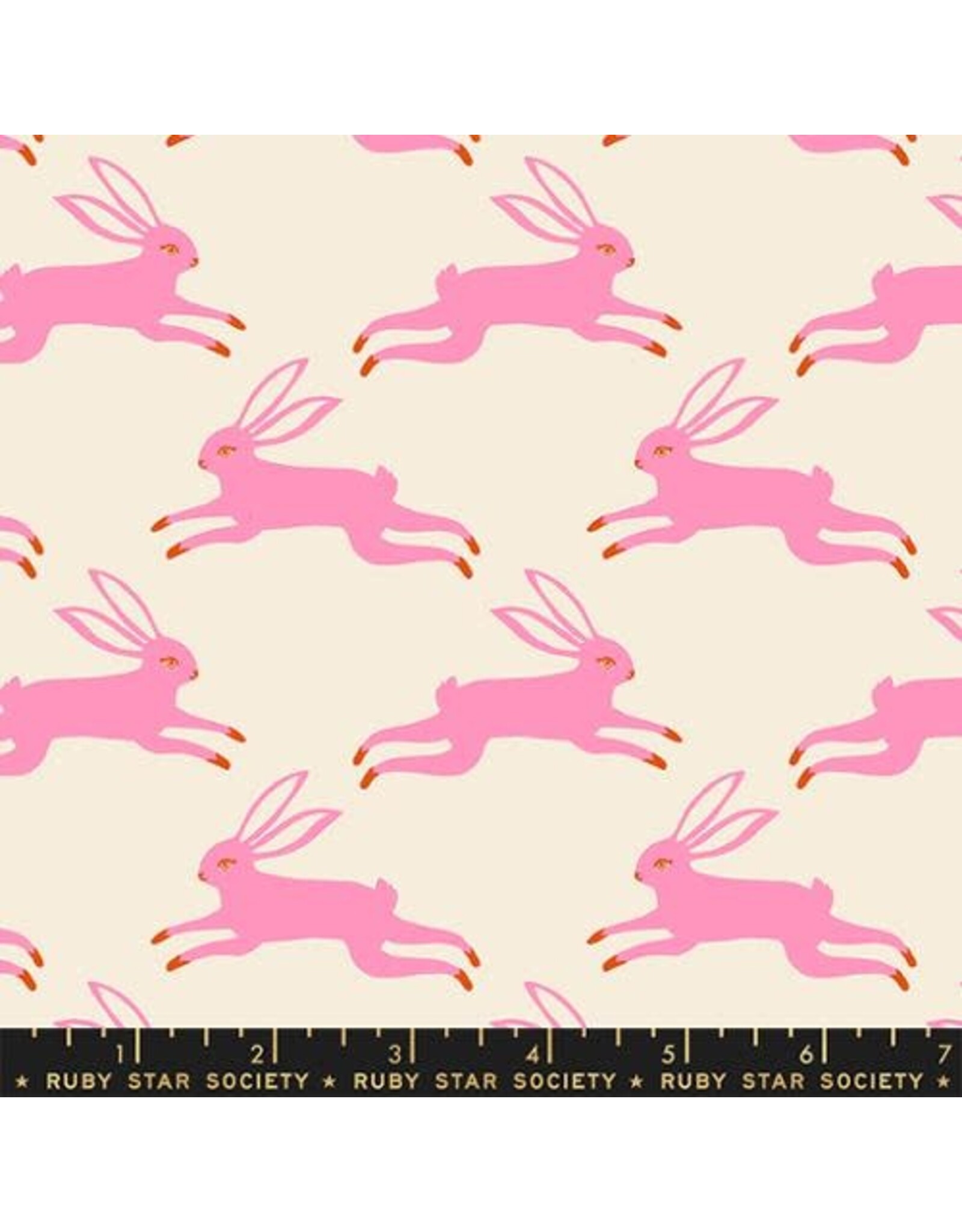 Ruby Star Society Sarah Watts - Backyard - Bunny Run Flamingo - RS208711