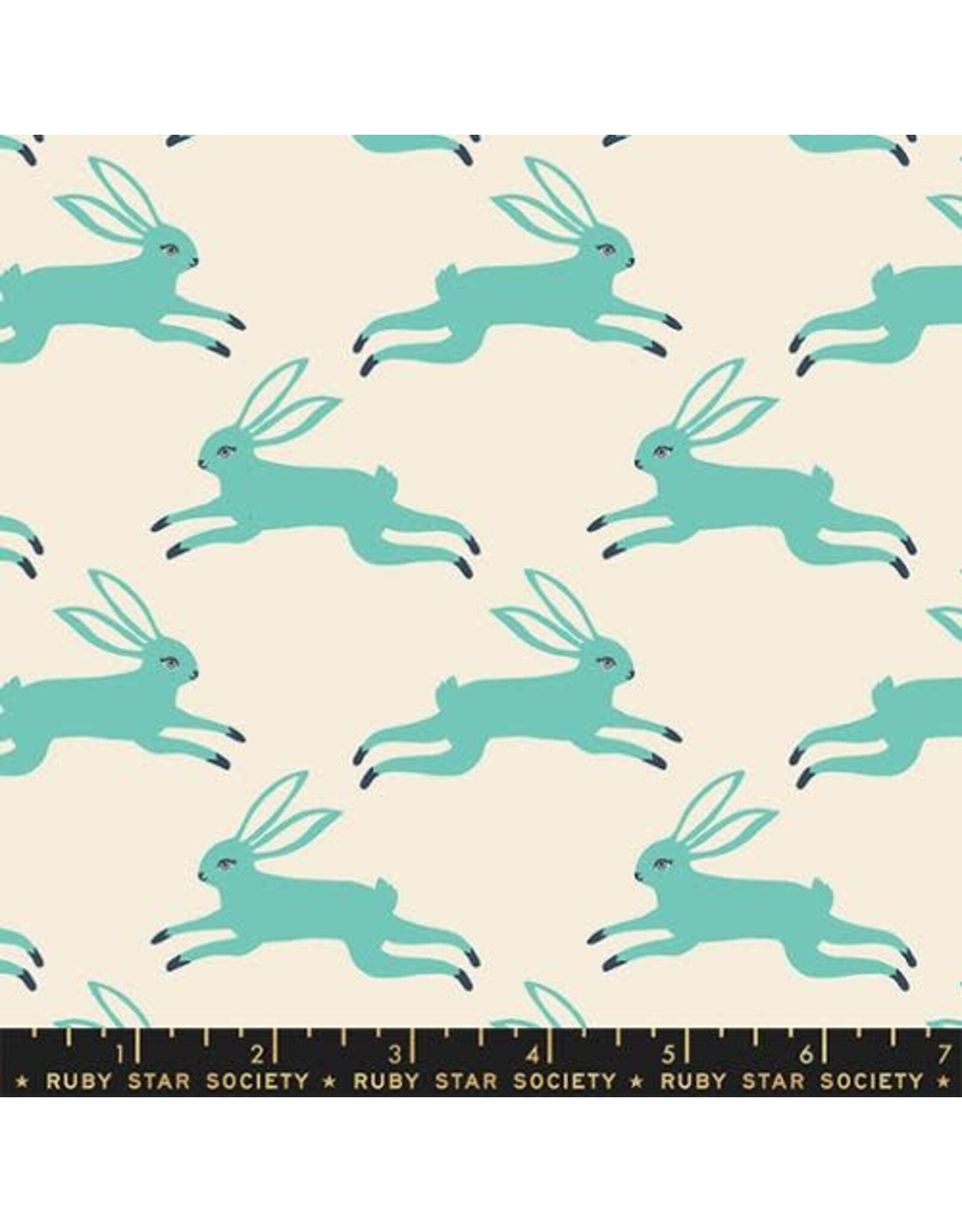 Ruby Star Society Sarah Watts - Backyard - Bunny Run Icebox - RS208712