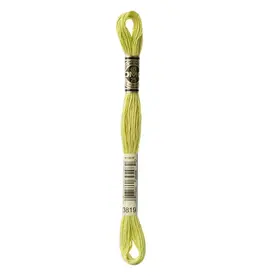 DMC DMC - Mouliné Special - 3819 - Aurous Green