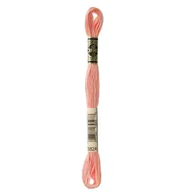 DMC DMC - Mouliné Special - 3824 - Strawberry Chew