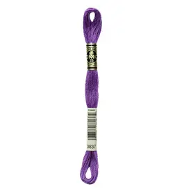 DMC DMC - Mouliné Special - 3837 - Purple