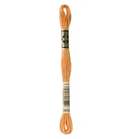 DMC DMC - Mouliné Special - 3854 - Chai Spice