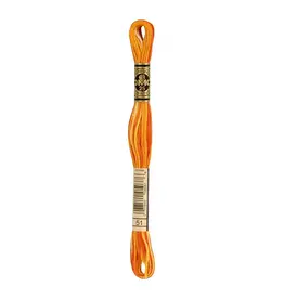 DMC DMC - Mouliné Special - 51 - Pumpkin Ombre
