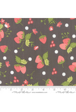 Moda Strawberry Jam - Floral Strawberry Polka Dot Grey coupon (± 80 x 110 cm)