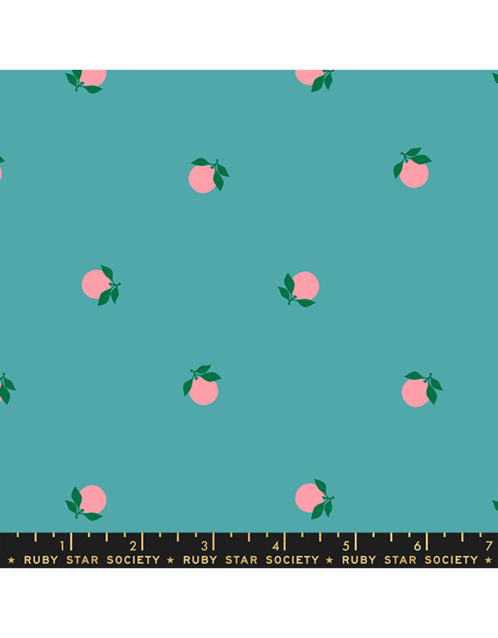 Ruby Star Society Melody Miller - Rise and Shine - Tangerines Succelent - RS0082-16