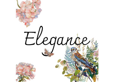 Clara McAllister - Elegance