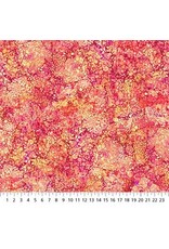 Northcott Northcott - Bliss - Hibiscus - DP23887-25