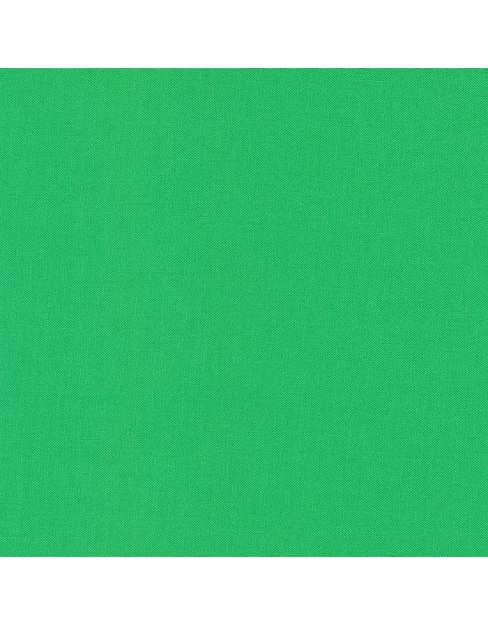 Robert Kaufman Robert Kaufman - Kona Solids - 1141 - Fern