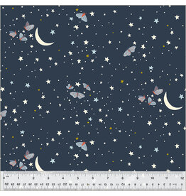 Windham Under the Canopy - Under the Moonlight - Night