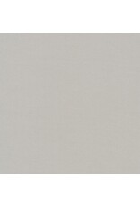 Robert Kaufman Robert Kaufman - Kona Solids - 1007 - Ash