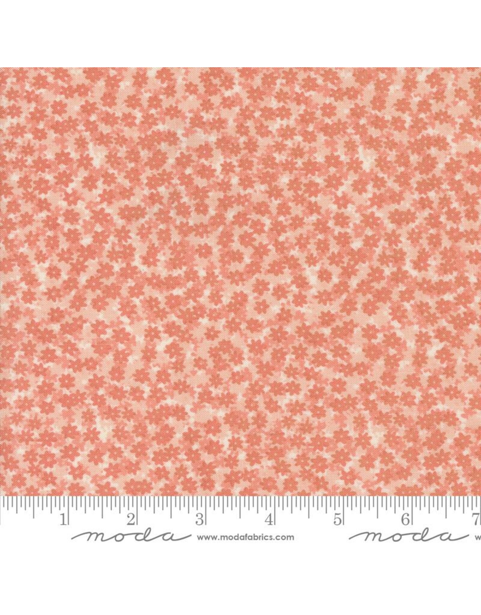 Moda Gingiber - Bee Garden - Floral Phase Carnation - 48417-16