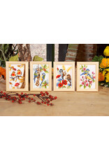 Vervaco Vervaco - Mini Embroidery Kit - 4 Seasons- Design 2