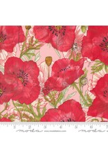 Moda Moda - Robin Pickens - Superbloom - Poppy Carnation - 48781-19