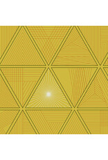 Andover 40 - Triangula April