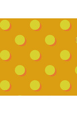 Andover 40 - Eclipse Michelangerlo