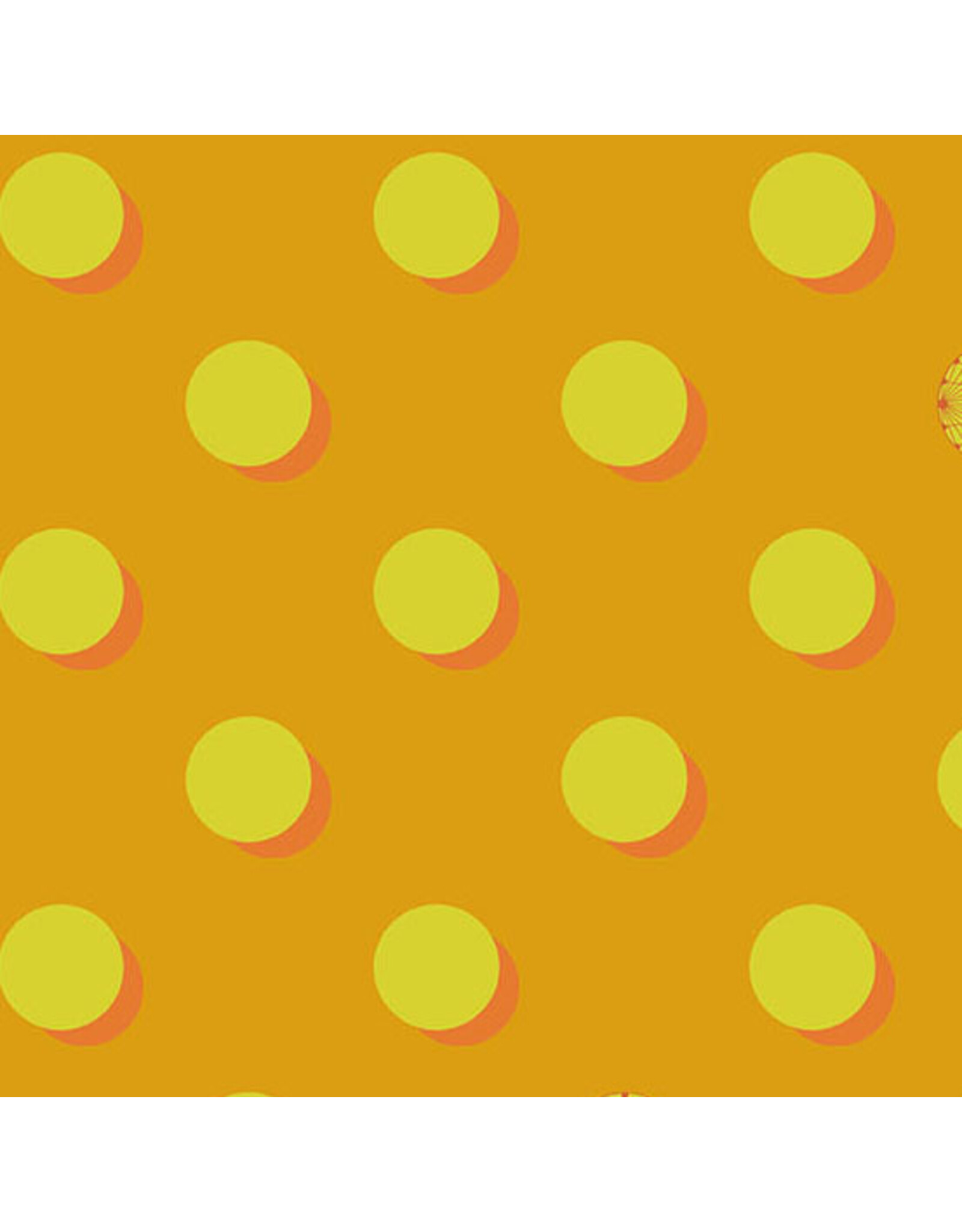 Andover 40 - Eclipse Michelangerlo