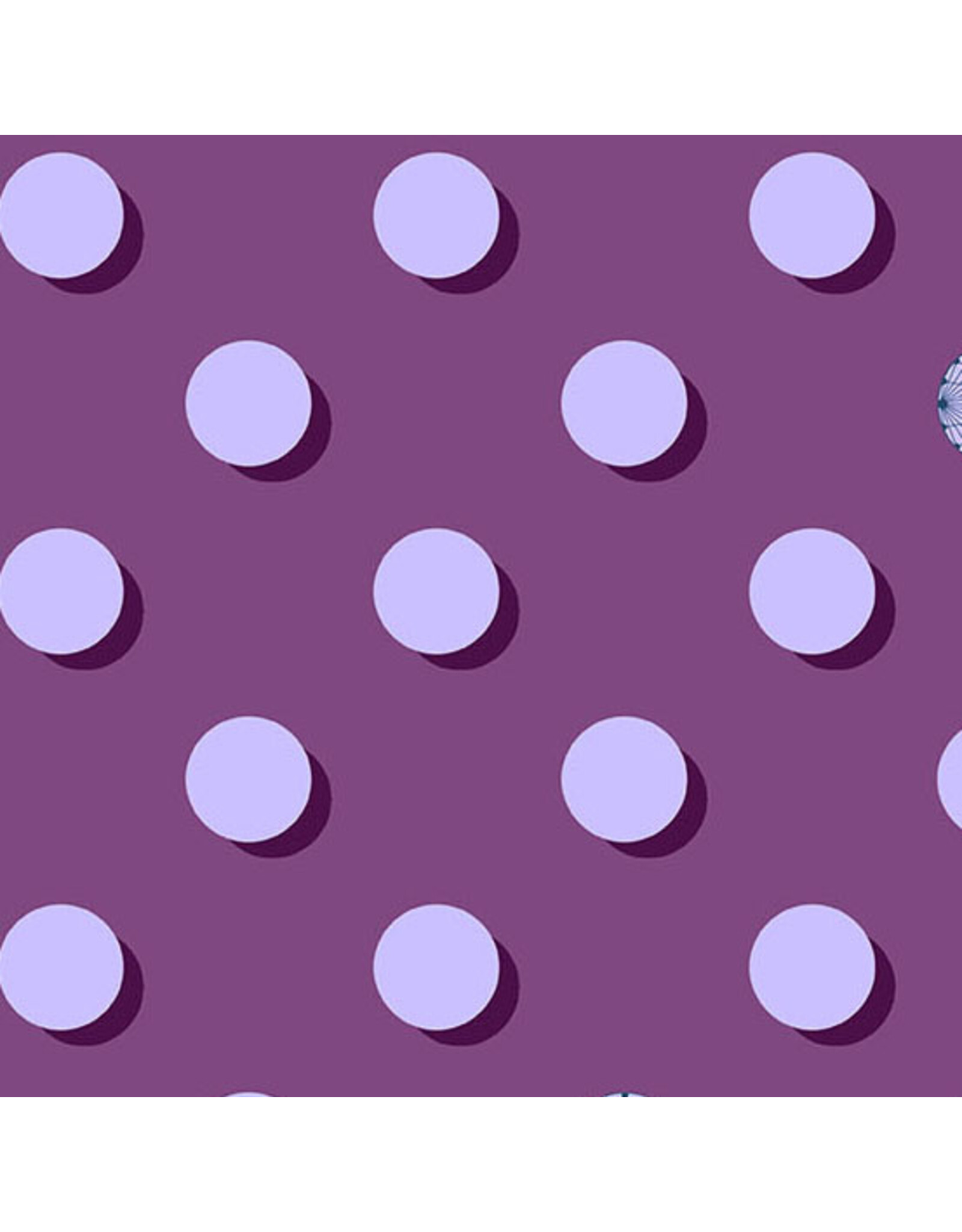 Andover Giucy Giuce - 40 - Eclipse Ursula