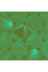 Andover 40 - Petri Turtle Power