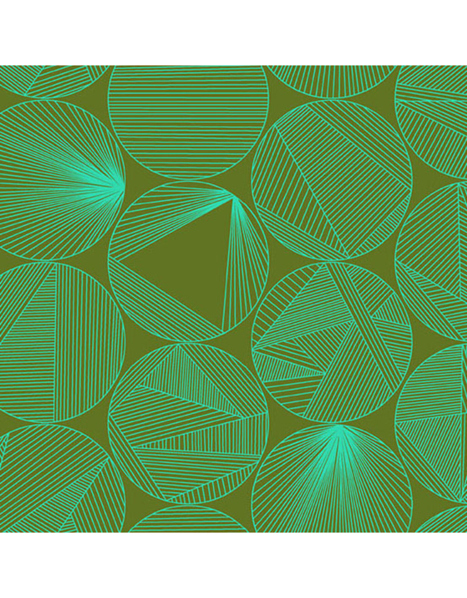 Andover Giucy Giuce - 40 - Petri Turtle Power