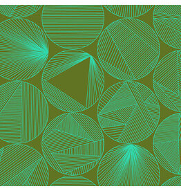 Andover 40 - Petri Turtle Power