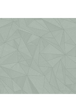 Andover Giucy Giuce - 40 - Terra Talkboy