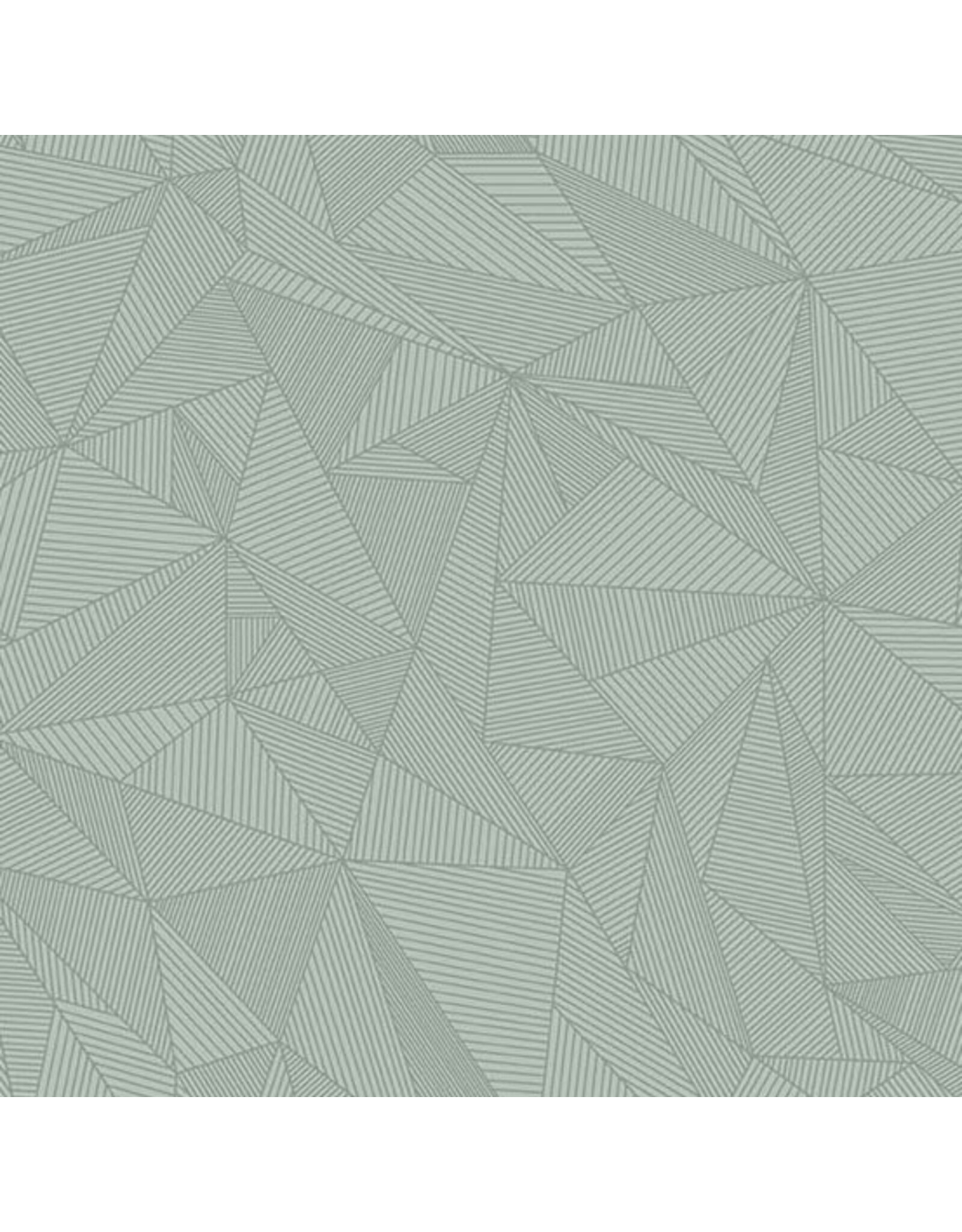 Andover 40 - Terra Talkboy