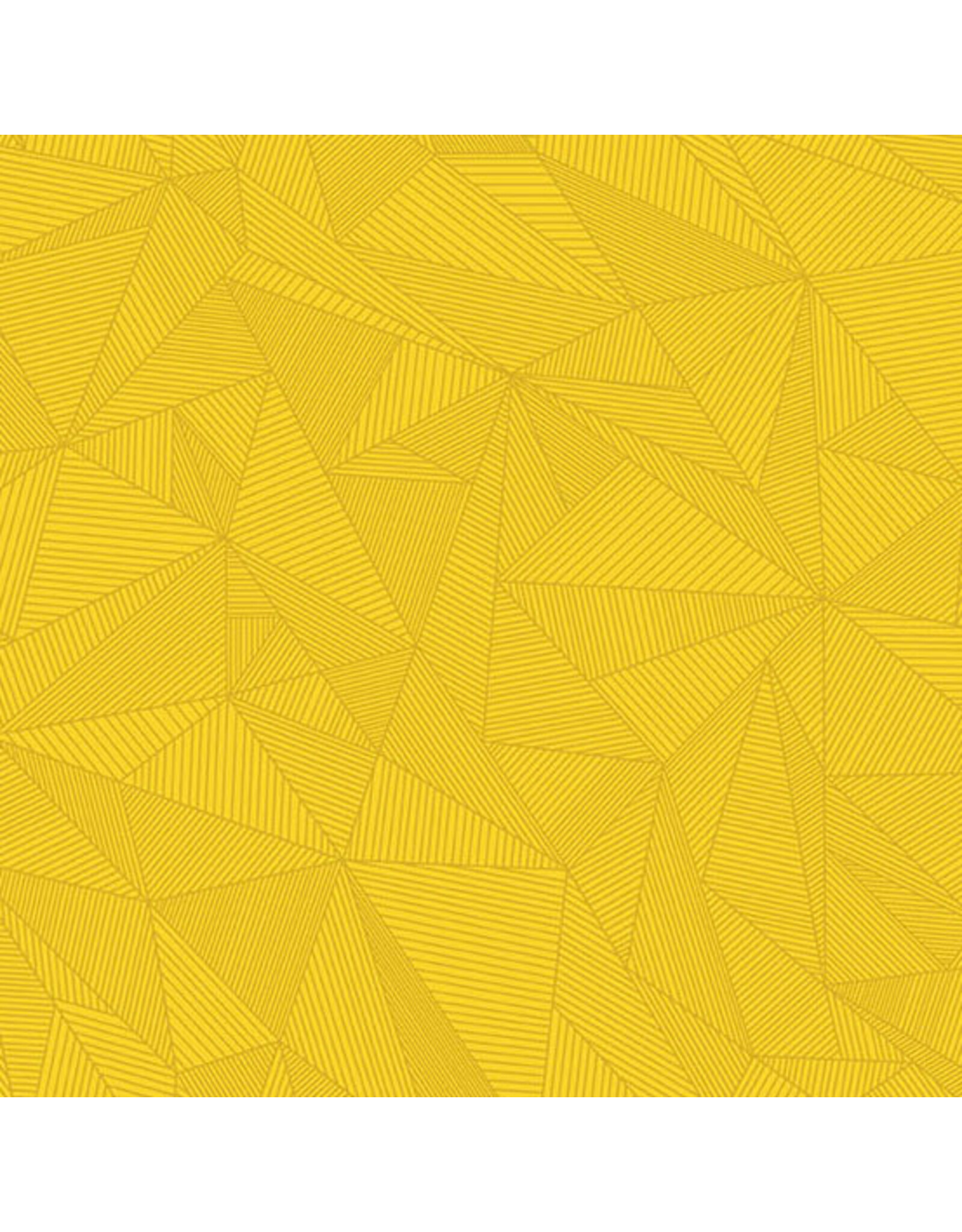 Andover 40 - Terra Yellow Ranger