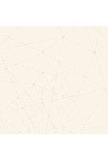 Andover Giucy Giuce - 40 - String Theory White Ranger