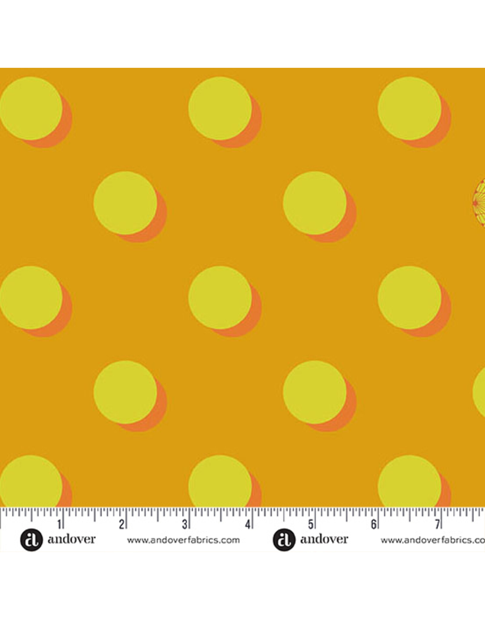 Andover Giucy Giuce - 40 - Eclipse Michelangerlo