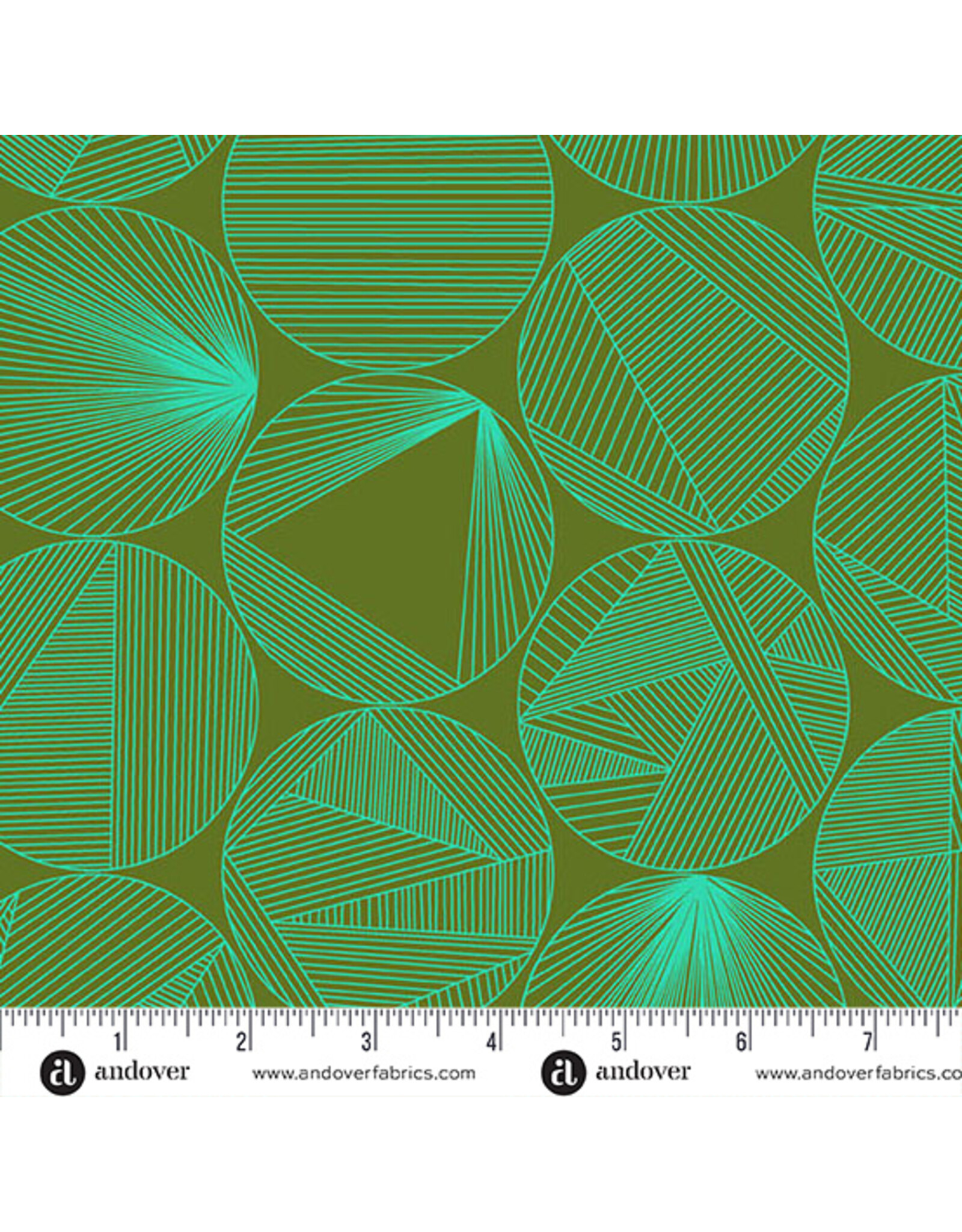 Andover 40 - Petri Turtle Power