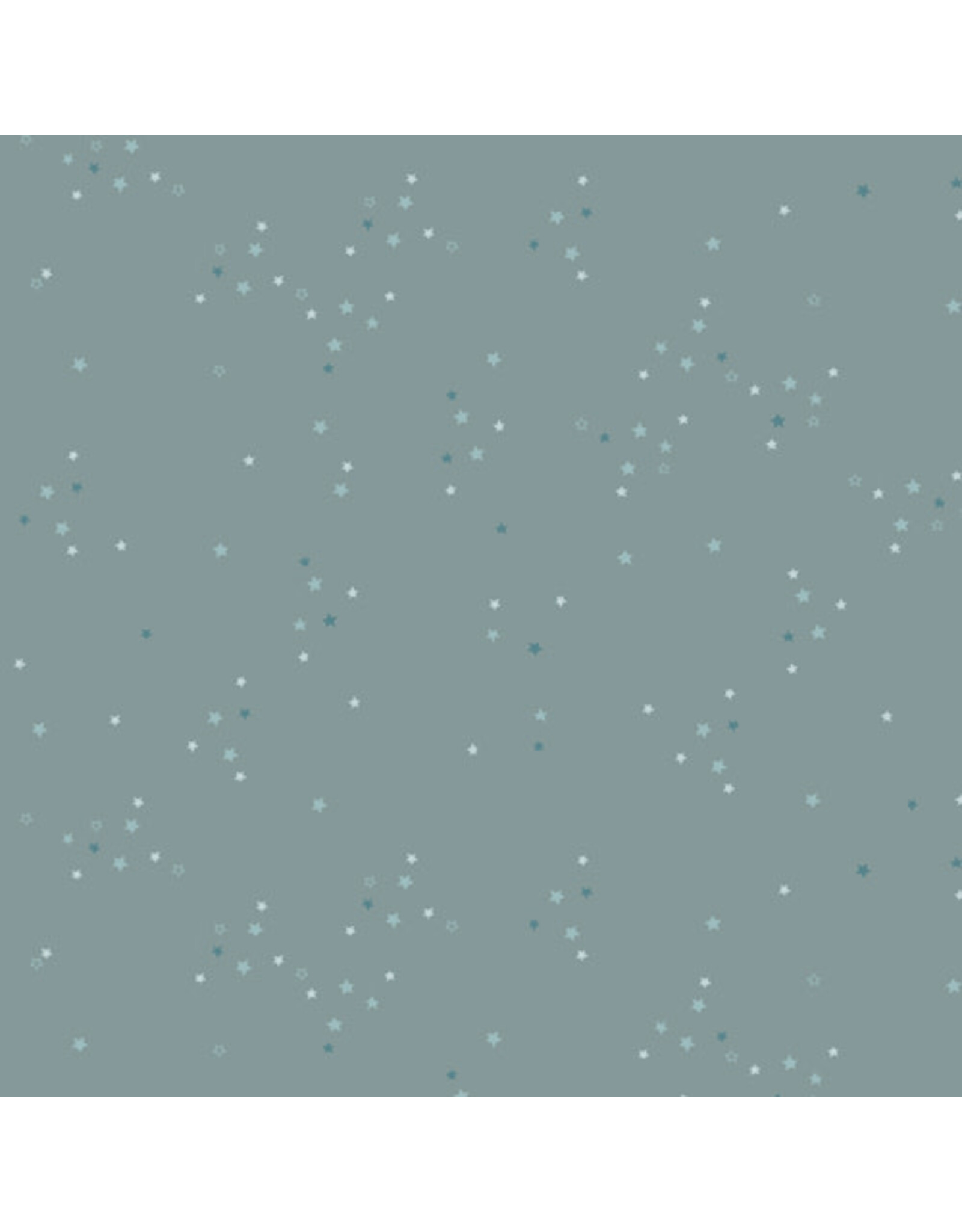 Art Gallery Fabrics Katarina Roccella - Adventale - Twinkle Little Stars Sky - ADV25907