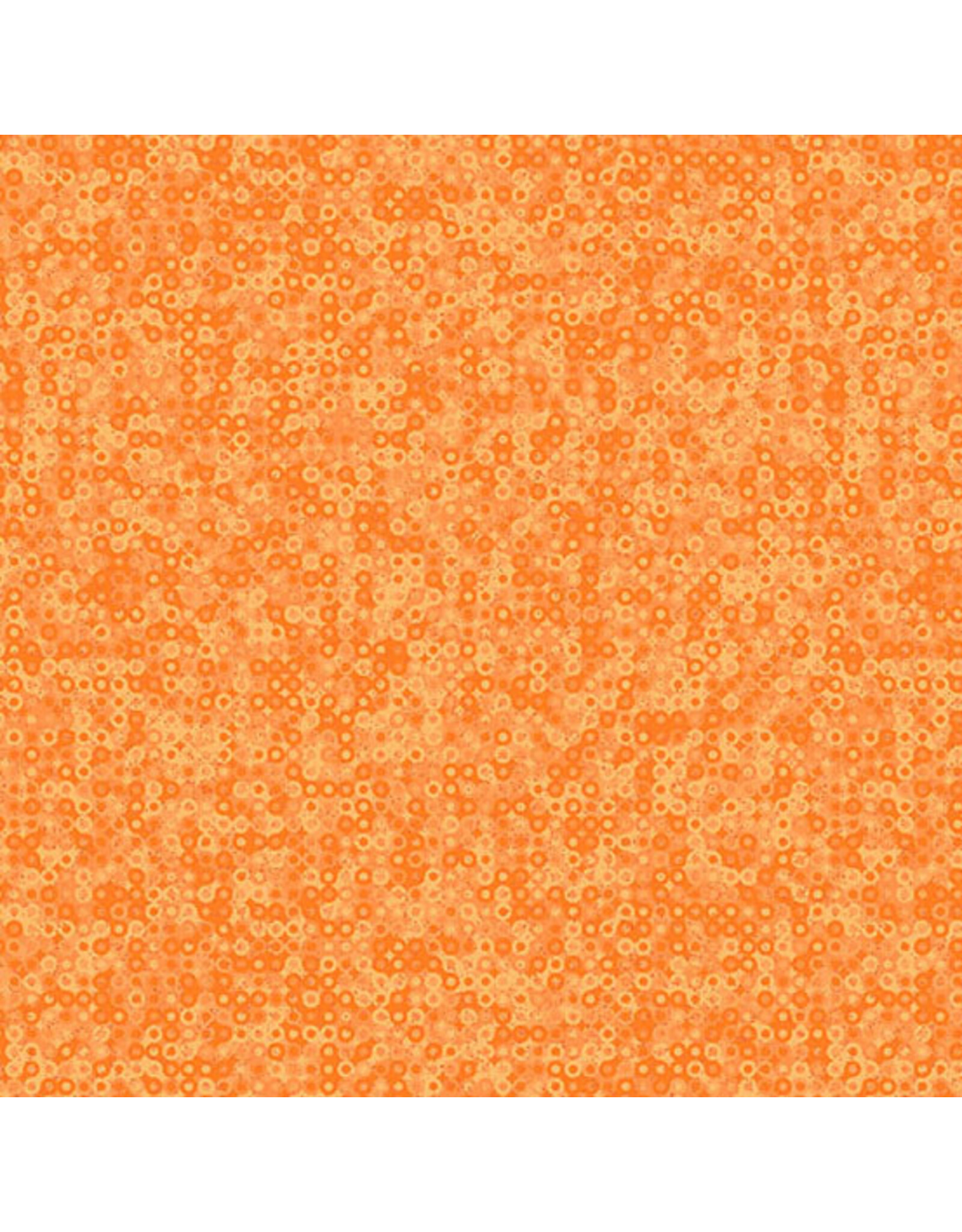 Andover Andover Fabrics - Sarah Maxwell - Fairy Rings - Pumpkin - A-1505-O2