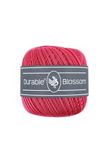 Durable Durable Blossom - Holly Berry - 221