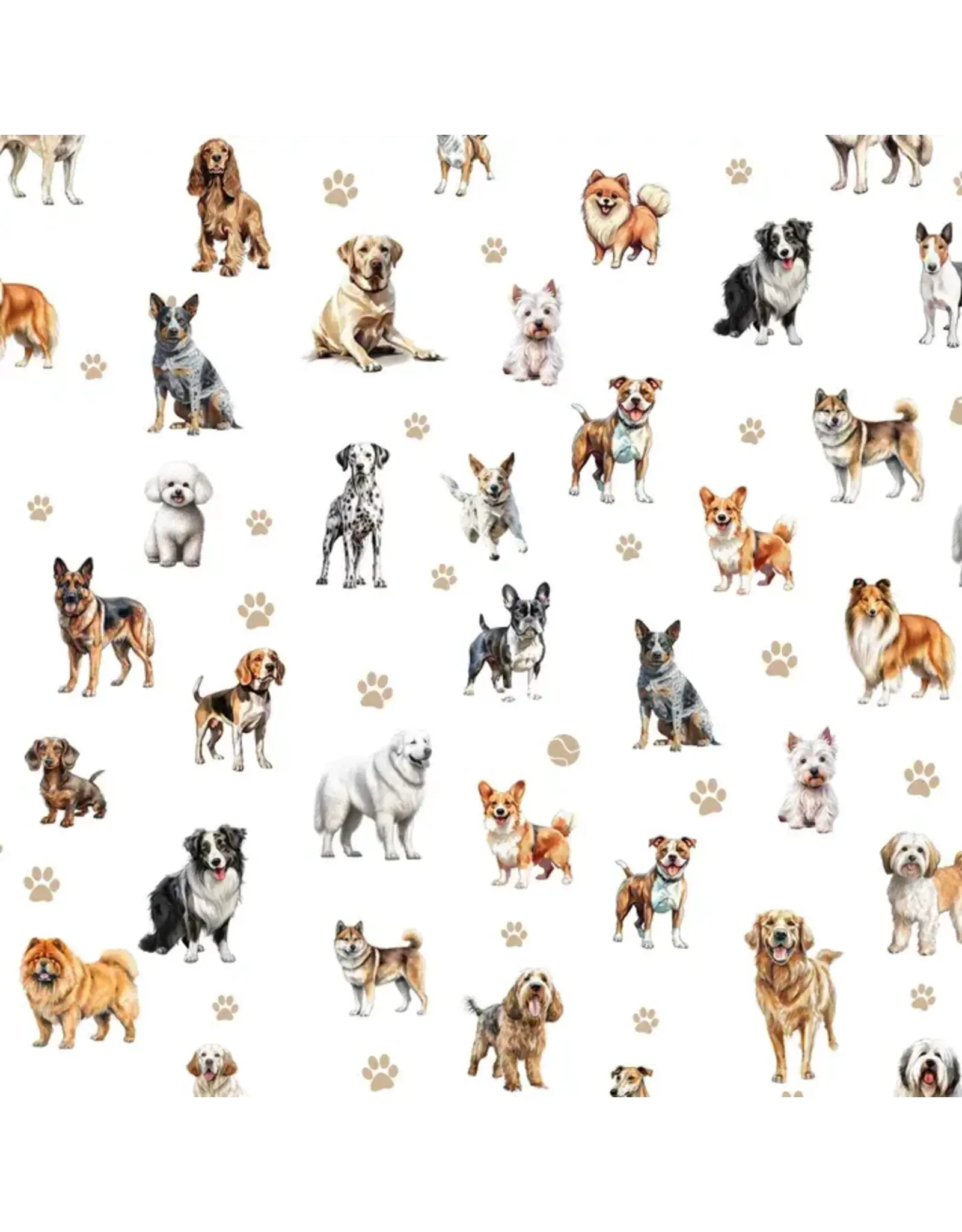 Devonstone Coop's Farm - Dogs