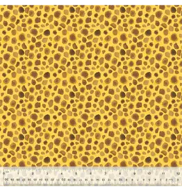 Windham King of the Jungle - First Spots Golden