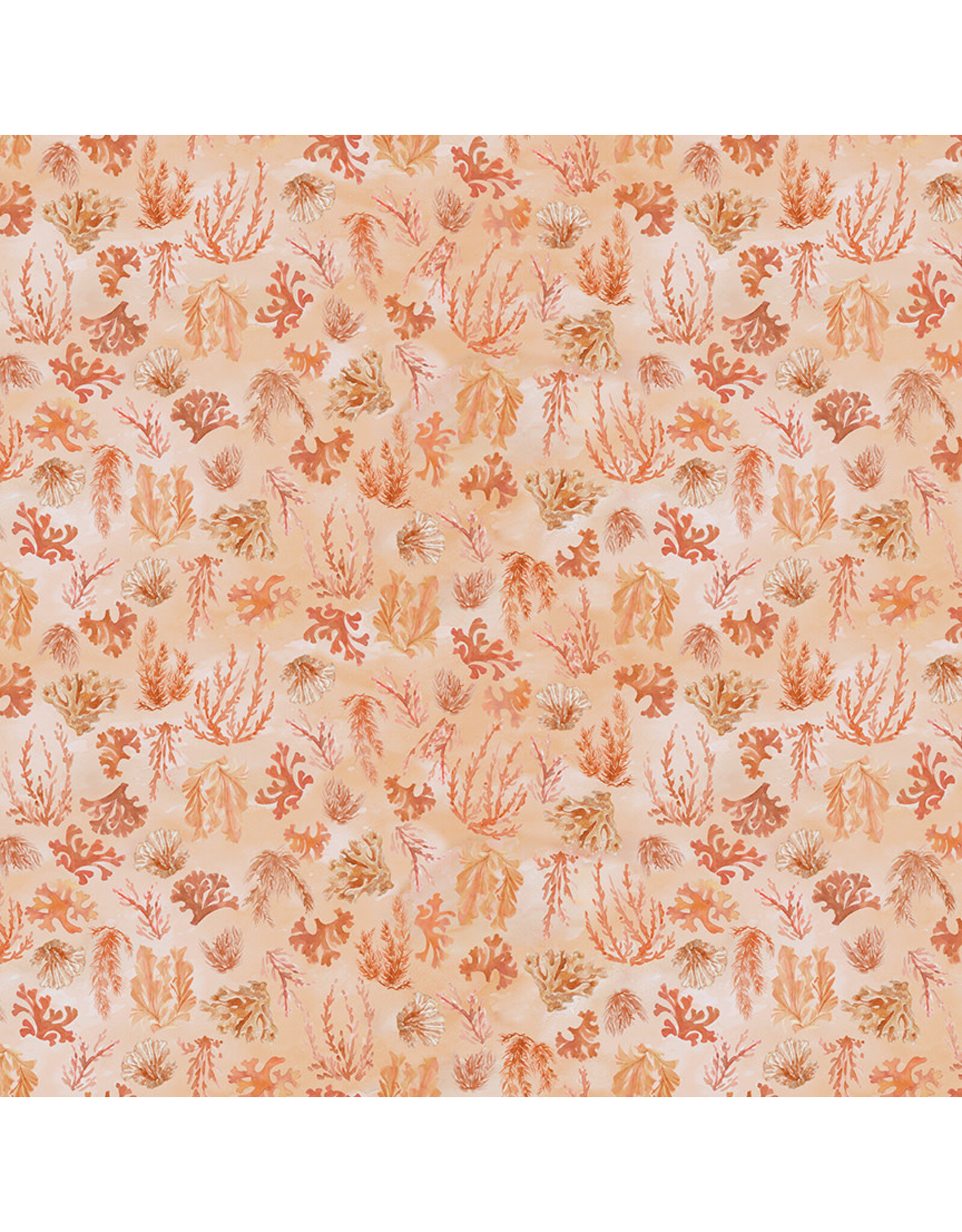 Windham Leslie Trimbach - Ocean Life - Reef Coral - 54991-8