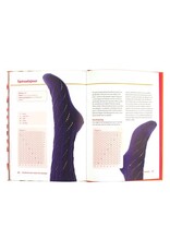 Diversen Forte Creatief - Sokken Breien - ISBN: 9789462501621