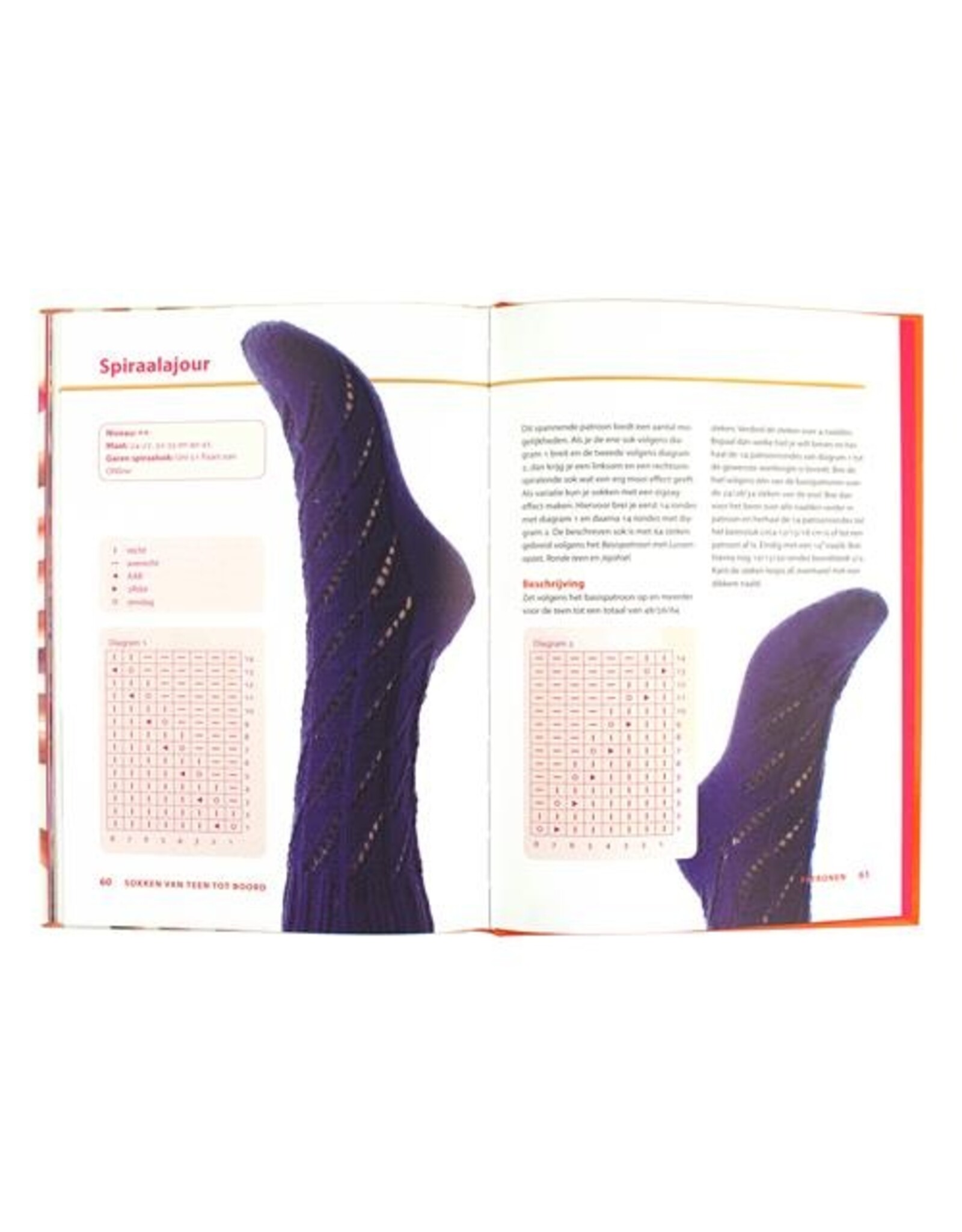 Diversen Forte Creatief - Sokken Breien - ISBN: 9789462501621